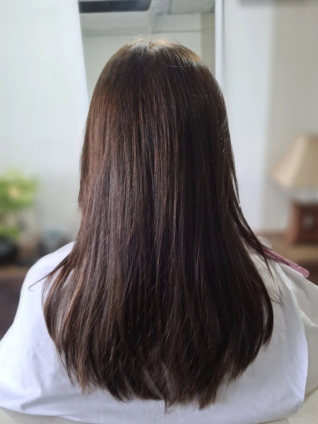 Dark brown hair blow dried straight, seen from behind