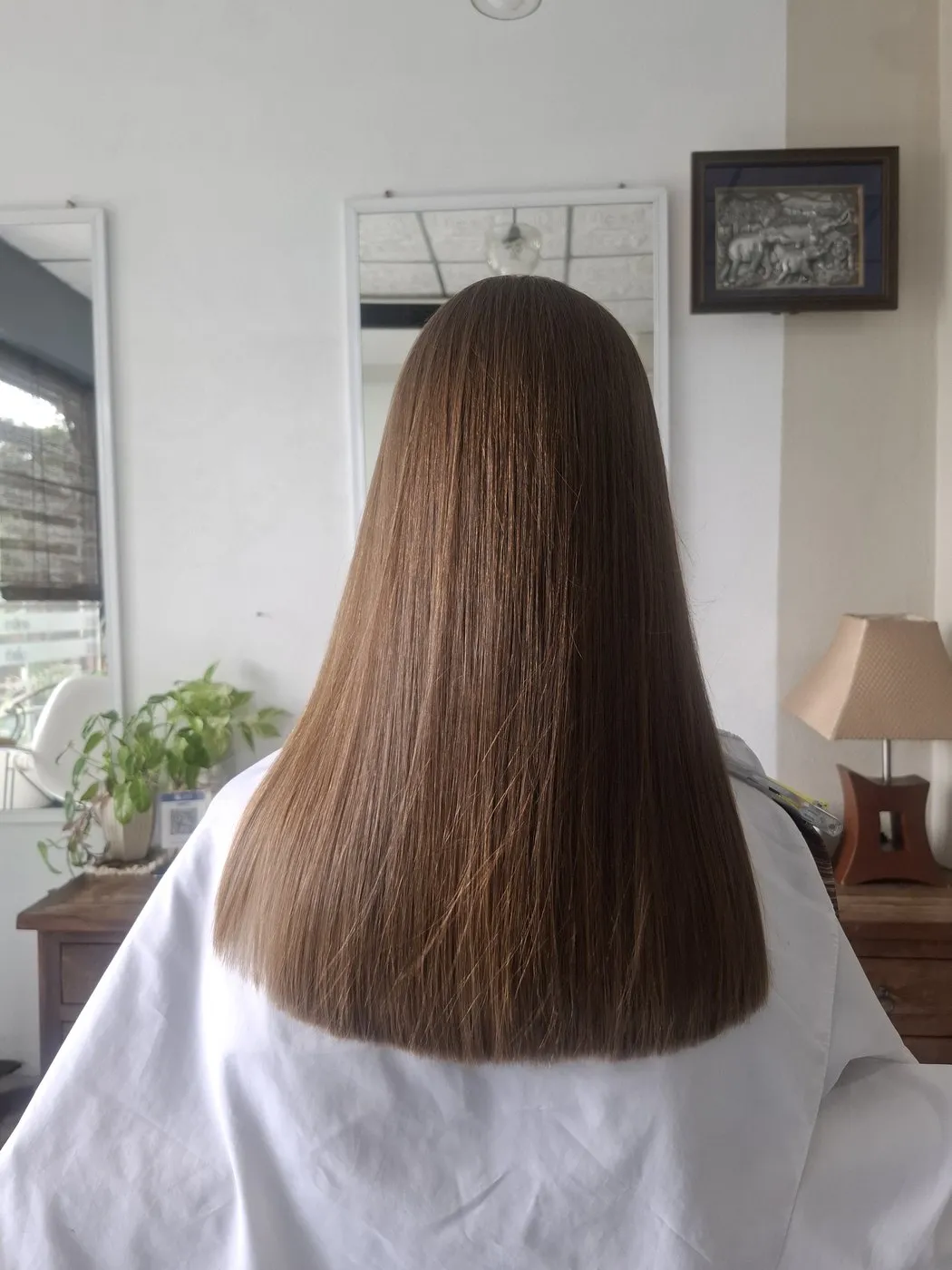 Glossy, straight brown hair, seen from behind