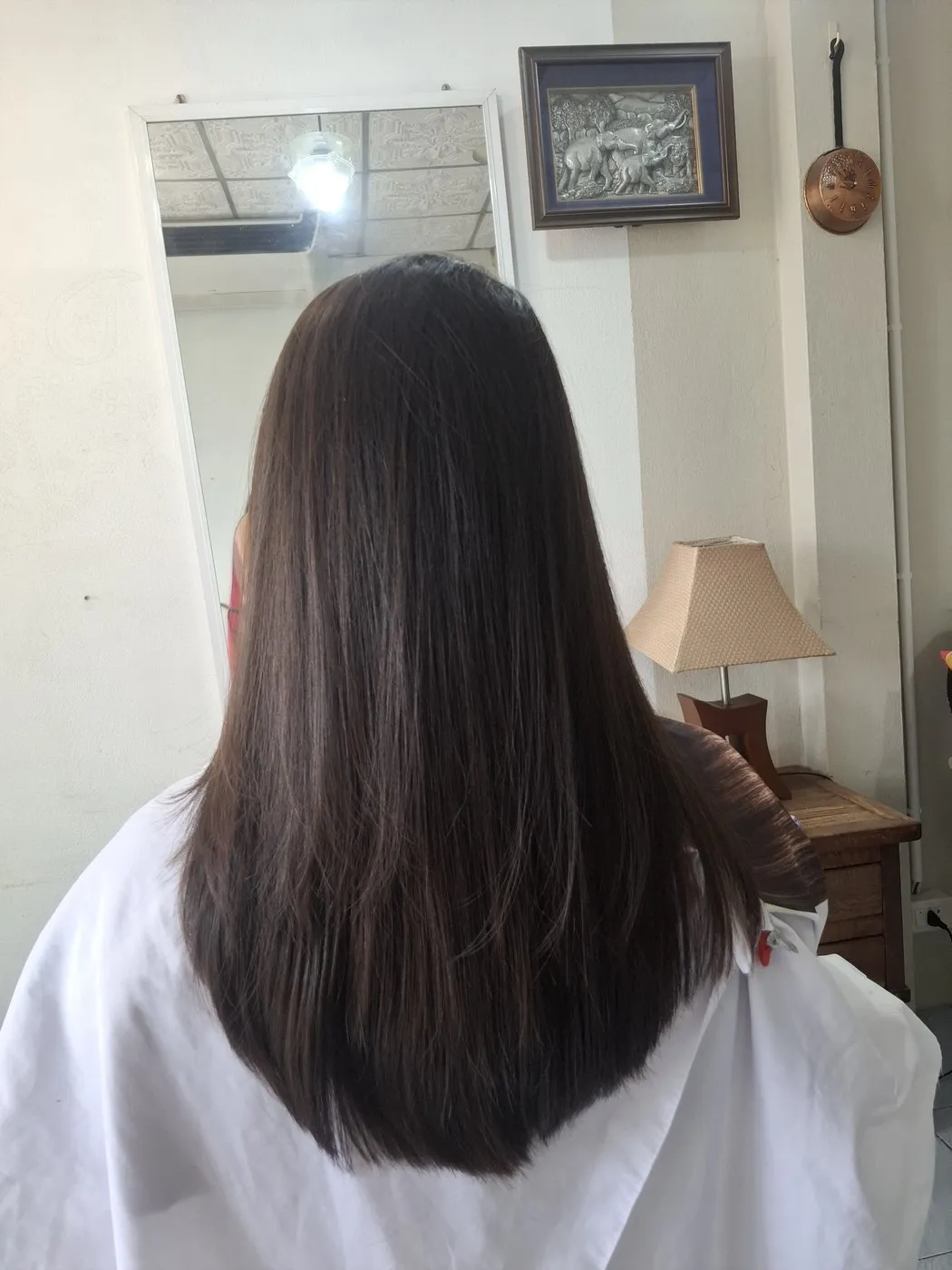 Long, straight dark brown hair, seen from behind